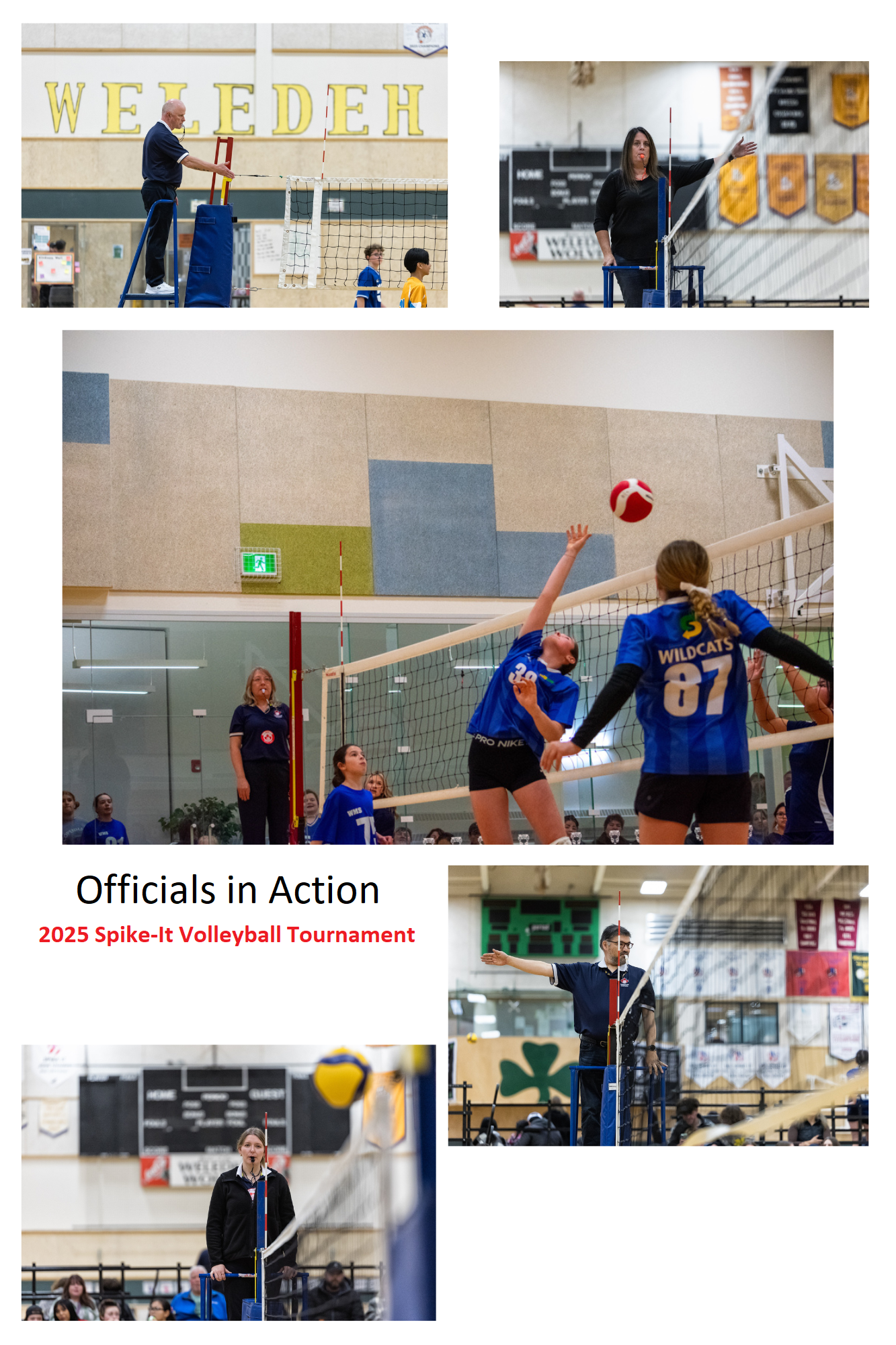 Officials in Action